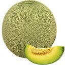 緑肉　シャロン2号 100粒 めろん メロン 舐瓜