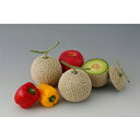 てまり PVP 100粒 めろん メロン 舐瓜 ヤエ交配