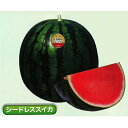 ほお晴れプレミアム 100粒 スイカ すいか 西瓜