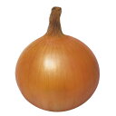 キーパー808 1dl 玉ねぎ たまねぎ 玉葱 タマネギ