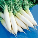 耐病総太り大根 ペレット3L5千粒 タキイ交配 大根 ダイコン だいこん