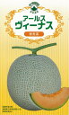 アールスヴィーナス 秋冬系 メロン 100粒 めろん メロン 舐瓜