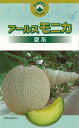 アールスモニカ 夏系 メロン 100粒 めろん メロン 舐瓜