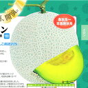 緑肉　アールスムーラン早春晩秋 100粒 めろん メロン 舐瓜