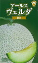アールスヴェルダ 夏系 メロン 100粒 めろん メロン 舐瓜