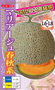 赤肉　マリアージュ春秋系 100粒 めろん メロン 舐瓜