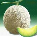 アールス栄華 春秋系(531) 100粒 めろん メロン 舐瓜