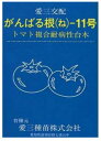 がんばる根-11号 1000粒 台木 ダイギ だいぎ 1000粒 トマト台木 愛三種苗
