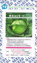 春系481号甘藍 コート(5000粒) キャベツ 甘藍 かんらん カンラン