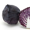 MKS-C901 ペレット5000粒 キャベツ 赤キャベツ