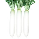 ペレット種子 蔵の宮 6000粒(3L) 大根 ダイコン だいこん