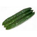 PR四川 350粒 胡瓜 キュウリ きゅうり