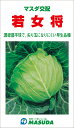 若女将甘藍 コート(5000粒) キャベツ 甘藍 かんらん カンラン