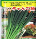 ちゃんこ葱2 コート20000粒 葱 ネギ ねぎ ダイヤ交配