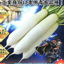 褄切伝蔵 (つまきりでんぞう) 2dl 大根 ダイコン だいこん