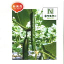 ネクスター1号改良 350粒 胡瓜 キュウリ きゅうり
