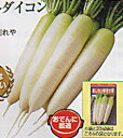 YR拓洋(農林水産大臣賞受賞) 2dl 大根 ダイコン だいこん 渡辺交配