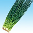 ふくいち葱 1l 葱 ネギ ねぎ F1 中原採種場