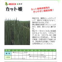 カット姫 1L 葱 ネギ ねぎ