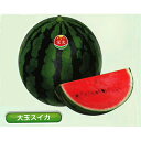 栄光 200粒 スイカ すいか 西瓜