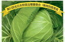 祝園 5000粒(L) キャベツ