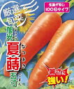 旭光夏蒔五寸 1L ニンジン にんじん 人参
