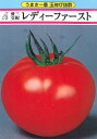 レディーファースト 1000粒 トマト とまと 蕃茄 1000粒 トマト とまと 蕃茄 愛三種苗