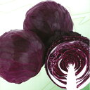 レッドブライト ペレット5000粒 キャベツ