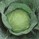 かおるだま ペレット5千粒 キャベツ