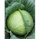ふうりん ペレット5000粒　キャベツ