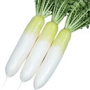 冬の守 8000粒 大根 ダイコン だいこん