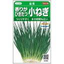 緑秀葱 1L 葱 ネギ ねぎ