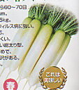 仙水 10000粒 大根 ダイコン だいこん 渡辺交配