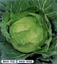 金春 ペレット5千粒 キャベツ