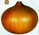 浜笑 PVP 2dl 玉ねぎ たまねぎ 玉葱 タマネギ