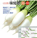 味短歌 10000粒 大根 ダイコン だいこん