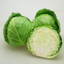 清月 ペレット5000粒 キャベツ