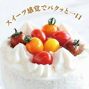 PRIMAX ベロニカ ミニトマト PRIMAX100粒 トマト とまと 蕃茄