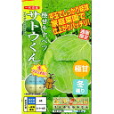 サトウくん コート5千粒 キャベツ
