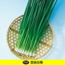 かみなり葱 1l 葱 ネギ ねぎ F1 中原採種場