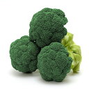 MKS-B101 ペレット5000粒 ブロッコリー