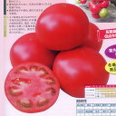 風林火山セブン 500粒 トマト とまと 蕃茄