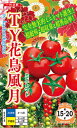 TY花鳥風月 500粒 トマト とまと 蕃茄
