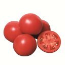 PRIMAX かれん トマト (SC6-163) プライマックス1000粒 トマト とまと 蕃茄