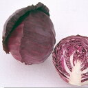 レッドマーケット ペレット 5000粒 キャベツ