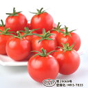 小鈴スィート(MKS-T833) 1000粒 トマト とまと 蕃茄