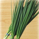 あつ姫 1L 葱 ネギ ねぎ◎