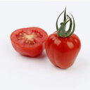 アップルベリー(ミニトマト) 1000粒 トマト とまと ミニトマト