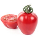 アップルベリープレミアム 1000粒 トマト とまと ミニトマト