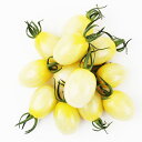 TYプリモホワイト 1000粒 ミニトマト トマト とまと 蕃茄